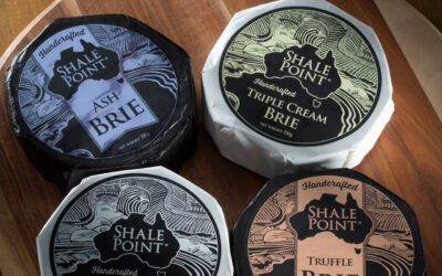 CLASSIC, TRIPLE CREAM, ASH, AND TRUFFLE BRIE – WHAT IS THE DIFFERENCE?