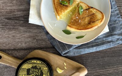 GRILLED CHEESE? YES PLEASE! – THE BEST WAY TO SPEND GRILLED CHEESE DAY